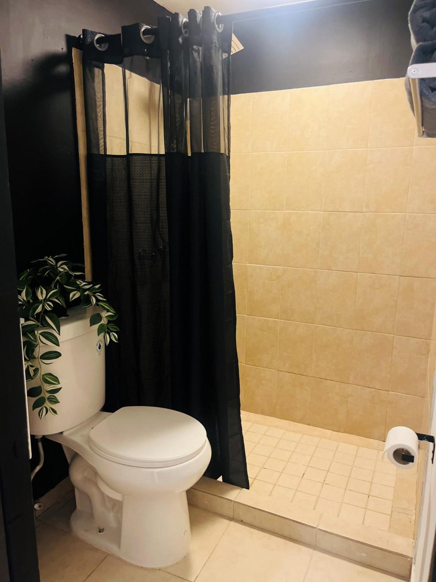 Central San Juan Studio Extérieur photo